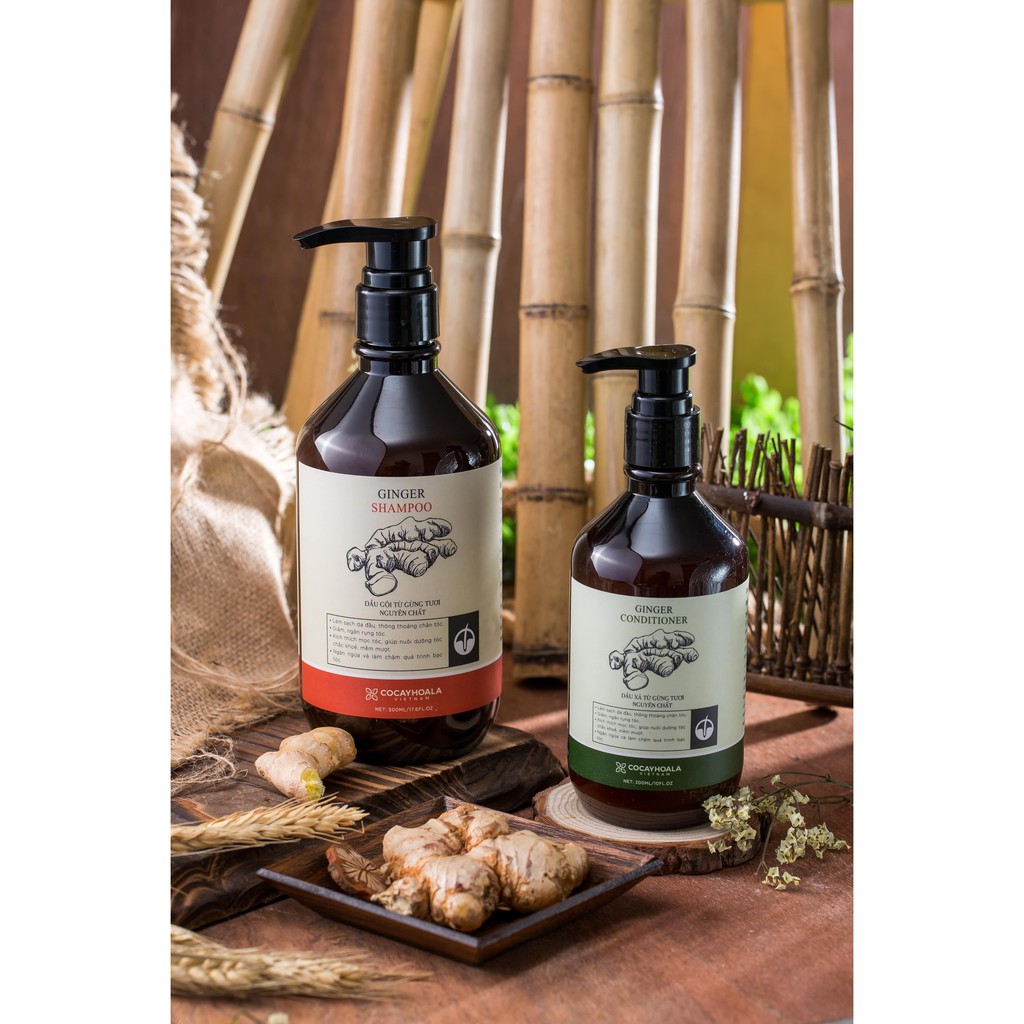 Bộ dầu gội-xả gừng tươi Cocayhoala kích thích mọc tóc 500ml | BigBuy360 - bigbuy360.vn