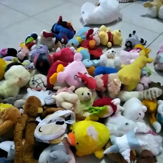 Gấu của Vi em là gió