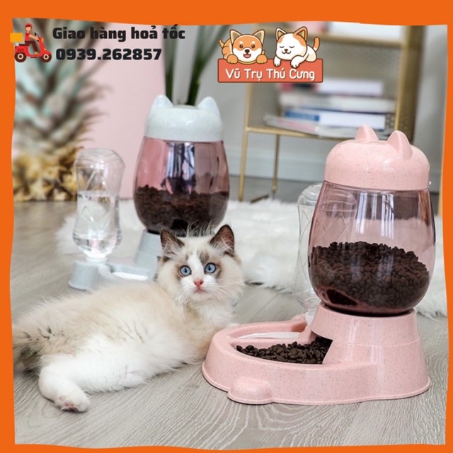 Bình đựng hạt tự động cho chó mèo, bát ăn thú cưng kèm bình nước