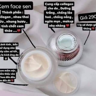 Sỉ 5 kem face collagen