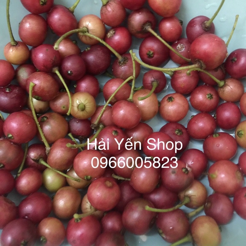 100g Quả Trứng Cá thơm ngon