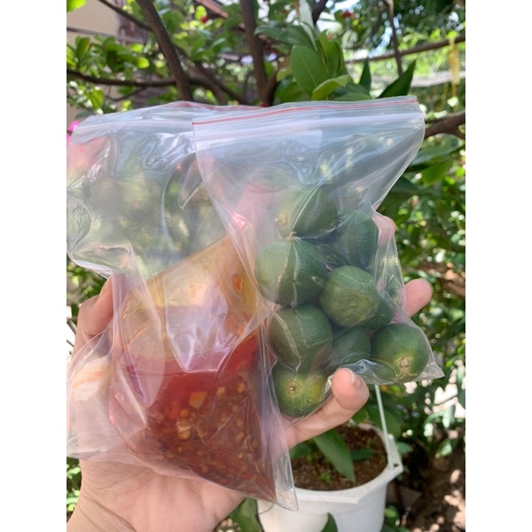 Combo Bánh rìa 500gr+Muối nhuyễn 150gr+Satế 150gr+10trái tắc