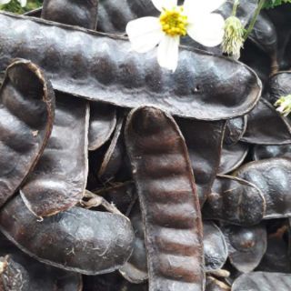 Bồ kết trái - 1 kg