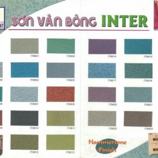 Sơn vân bông inter