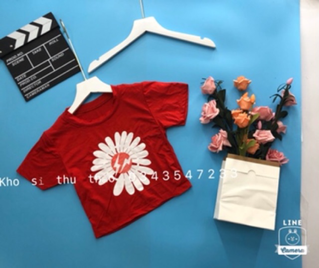 Áo croptop hoa cúc hình chụp thật kèm video