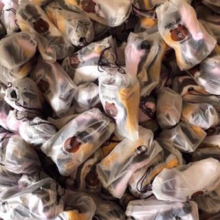 [GIÁ HỦY DIỆT]{150K FREESHIP} SÉT 10 ĐÔI VỚ GẤU BROWN SIÊU HÓT