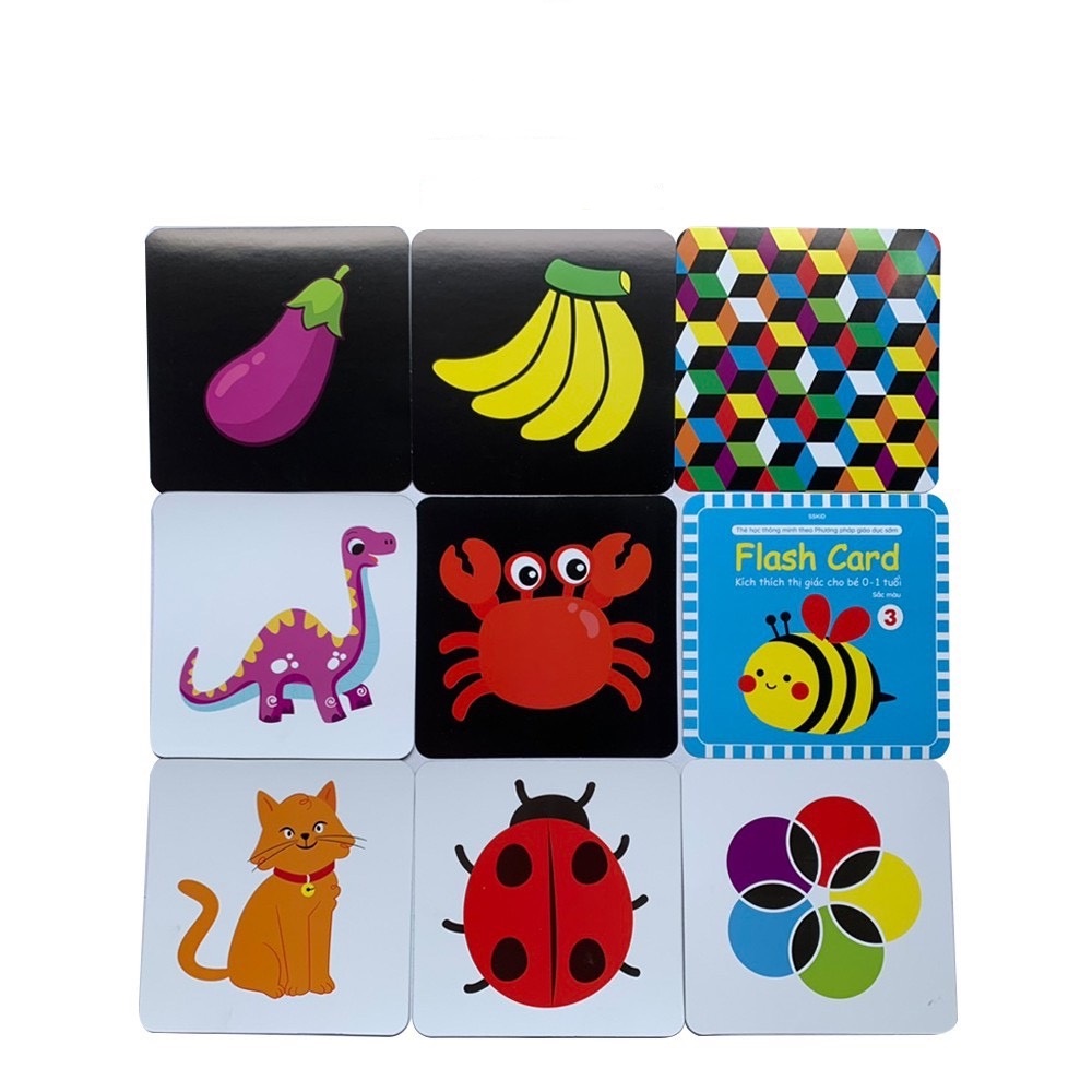 Thẻ Flash card kích thích thị giác cho bé từ 0-1 tuổi theo phương pháp giáo dục sớm