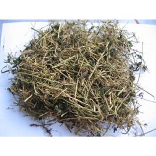 Dây khổ qua rừng ( mướp đắng rừng )