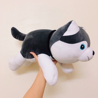 Chó husky bông minisoo mềm mịn