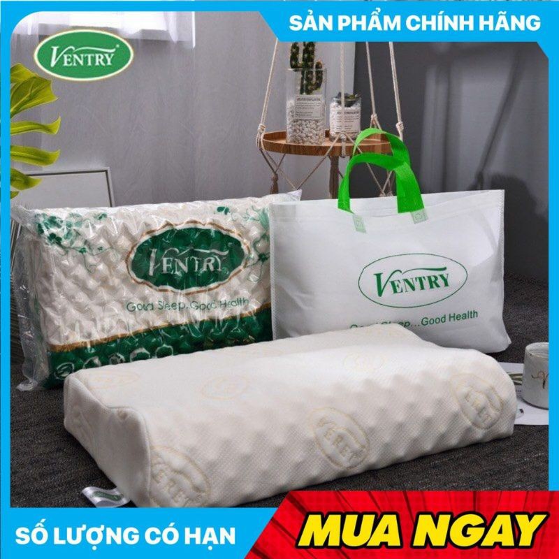 GỐI CAO SU VENTRY CAO CẤP LOẠI 1
