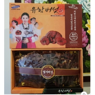 Nấm linh chi sừng hươu