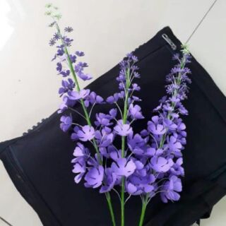 Bấm hình 4in1