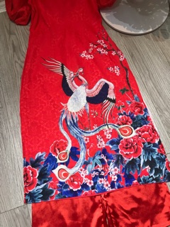 Áo dài gấm