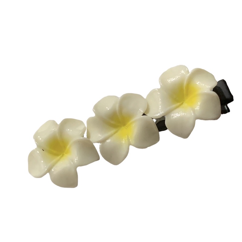 Kẹp tóc hoa sứ siê xinh phối cùng váy đầm TRIPBLE T DRESS