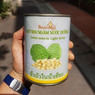 Hạt sen đóng hộp Baan Mai  - hạt to mềm cực ngon
