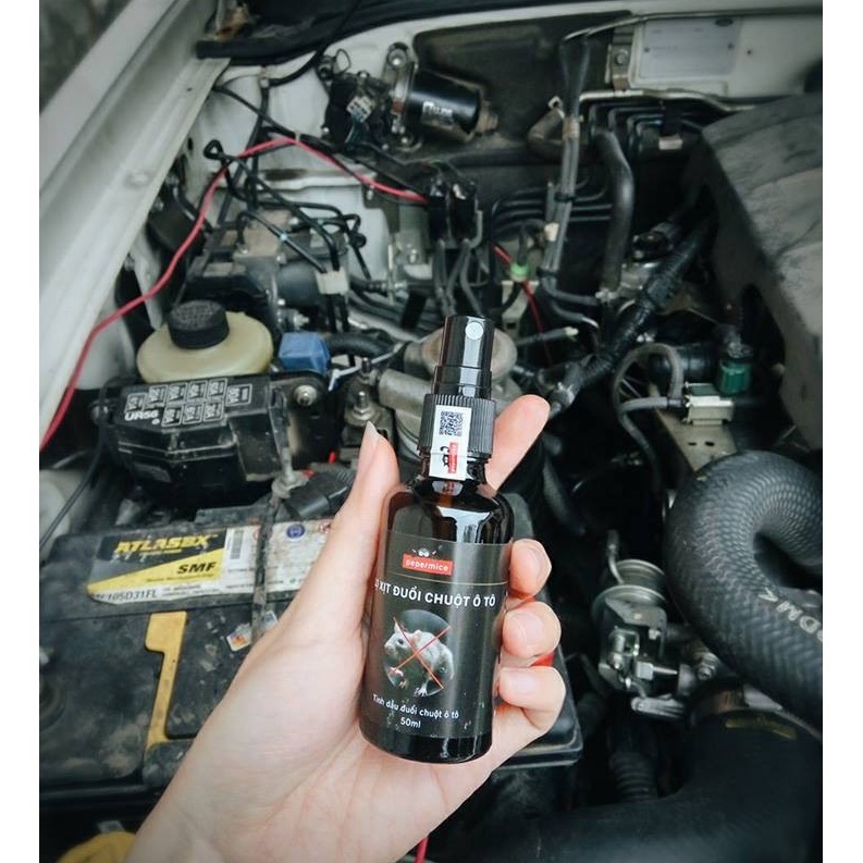 Tinh dầu chống chuột Pepermice dạng xịt khoang máy ô tô chống chuột hiệu quả - Auto Bảo Lộc