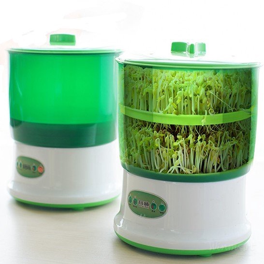 Máy làm giá đỗ, rau mầm