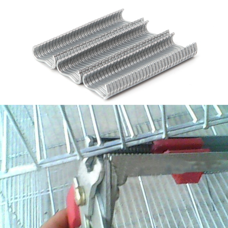 Bộ 600 đinh ghim chữ M chuyên dụng cho làm lồng chim/thỏ/thỏ