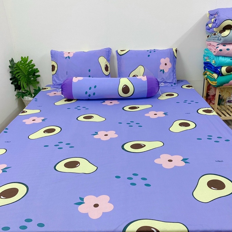 bộ ga và vỏ gối thun hàn hình trái bơ