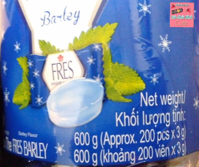 Kẹo the bạc hà lúa mạch Fres Barley hủ 600g