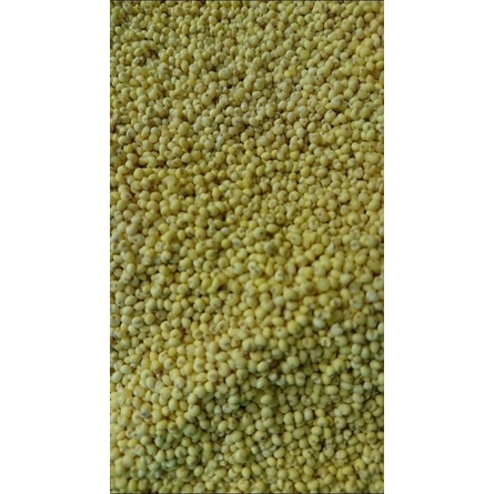 Kê trứng dành cho chim vẹt gói 500g và 1kg