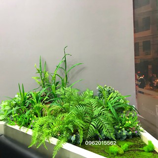 Tấm rêu trang trí