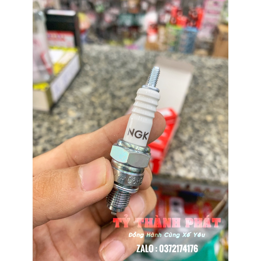 Bu Gi Honda zin NGK C6 chân ngắn