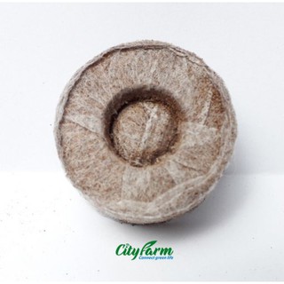 Viên nén ươm hạt xơ dừa Ươm hạt luôn là bước đầu quan trọng cả quá trình trồng cây. Một mầm cây khỏe mạnh là yếu tố giúp