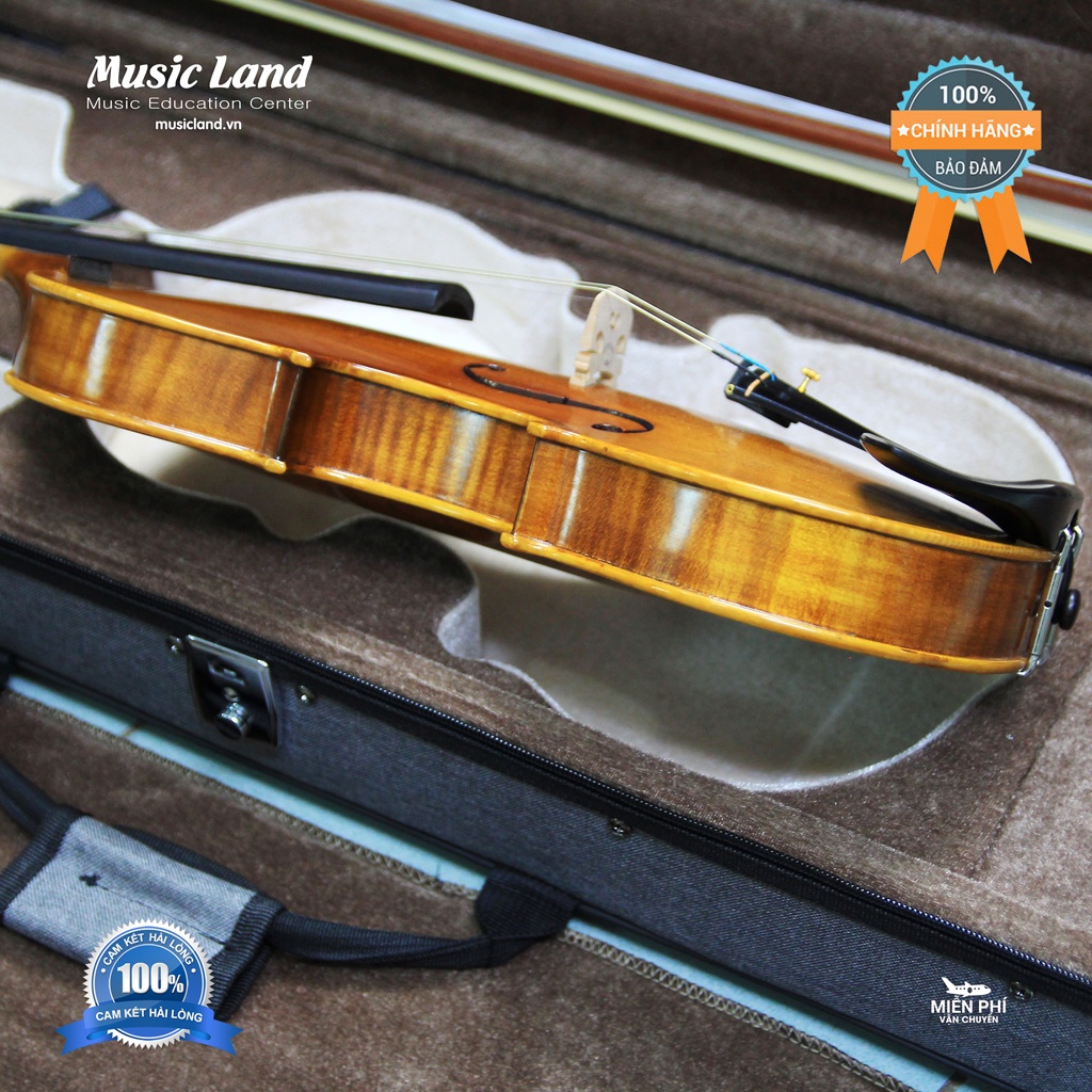 Đàn Violin Amati VF300 – Chính Hãng