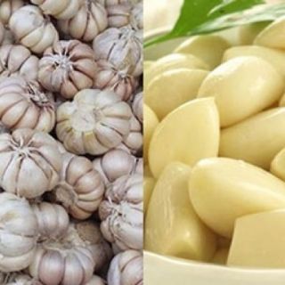 Tỏi bông sen