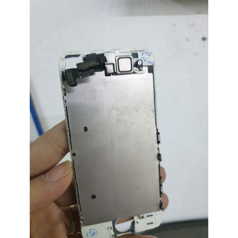 màn hình iphone 5 | BigBuy360 - bigbuy360.vn