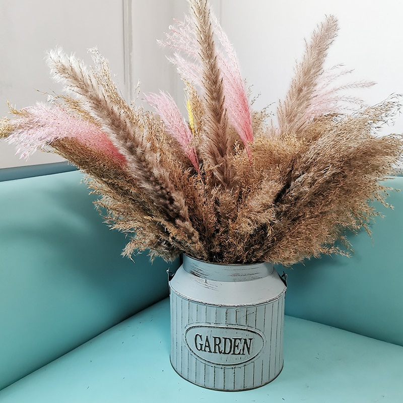 Bình tưới cây bằng kim loại mạ kẽm trang trí nhà cửa