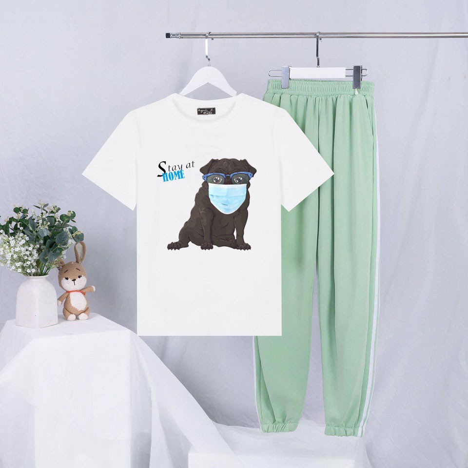 Sét Bộ Đồ Nữ Mặc Đi Chơi Dạo Phố Mùa Hè, Áo Phông Cotton In Thú Kéo Tai Kèm Quần Thun Bo Gấu Phong Cách Teen Hàn Quốc