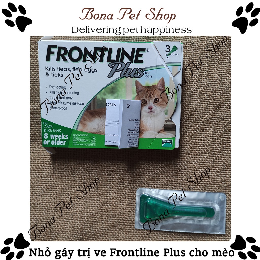 Nhỏ gáy Frontline Plus cho mèo
