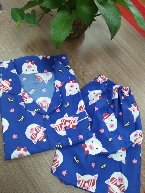 Bộ pijama nữ cộc đùi ( Nhiều mẫu xinh) | BigBuy360 - bigbuy360.vn