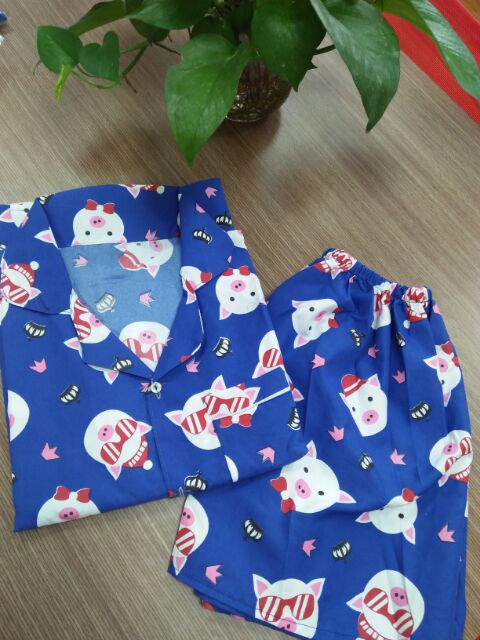 Bộ pijama nữ cộc đùi ( Nhiều mẫu xinh) | WebRaoVat - webraovat.net.vn