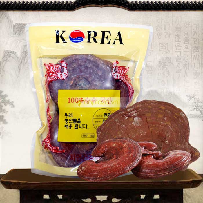 [Mã GROSALE2703 giảm 8% đơn 250K] Nấm linh chi tai đỏ 6 năm tuổi Hàn Quốc, Túi 1kg[DUY NHẤT HÔM NAY] [SALE LỚN] | BigBuy360 - bigbuy360.vn