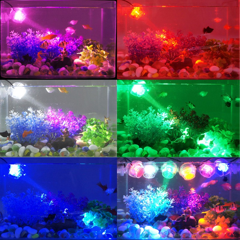Đèn đổi màu tự động Tròn soi bể cá hiệu ứng đẹp