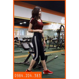 chỗ bán set quần áo đồ tập gym, yoga, zumba đẹp cho nữ có tay hàng xuất khẩu giá rẻ