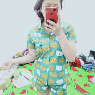 Sỉ pizama đùi