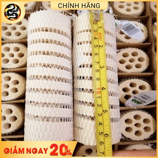 Sứ củ sen Mountain Tree I, II - Vật Liệu Lọc Vi Sinh Cao Cấp