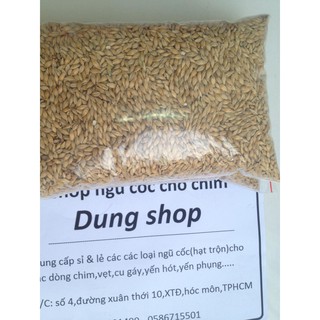 lúa đại mạch  1kg