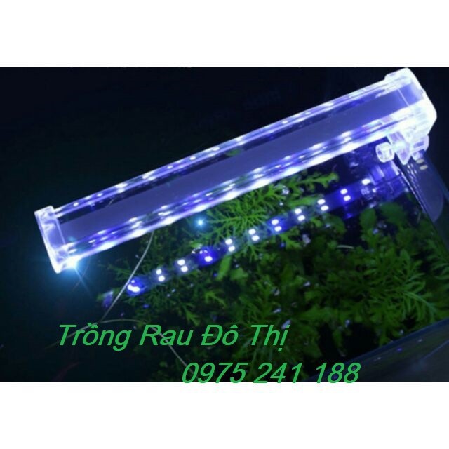 Đèn led bể cá dạng kẹp D10 cho bể dài 15-25cm, 4W, dài 14.5cm