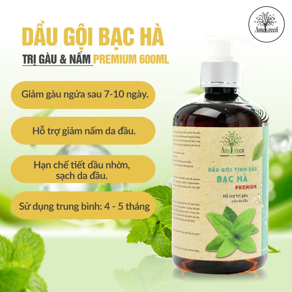 [HÀNG CHUẨN CÔNG TY] Dầu gội tinh dầu Bạc Hà trị gàu và trị nấm da dầu AmeGreen 600ml Premium 2020