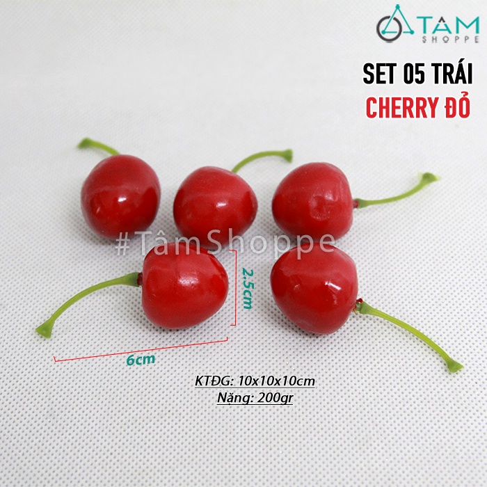 Trái cây giả cắt lát như thật TCG-01