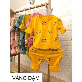 [XẢ KHO] BỘ QUẦN ÁO DÀI TAY HÌNH THÚ BÉ TRAI BÉ GÁI 4-14KG, hình thật