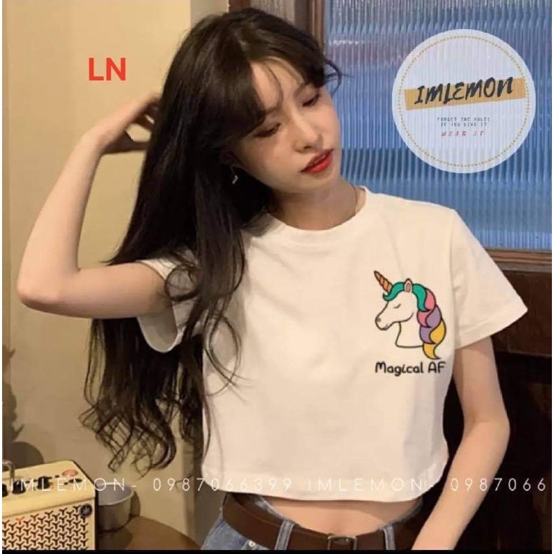 Áo phông crt ngựa Magical DA23