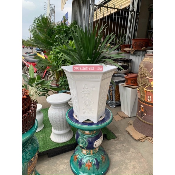 ♦️ Chậu LỤC GIÁC CAO -  ĐK: 43cm x C40cm♦️