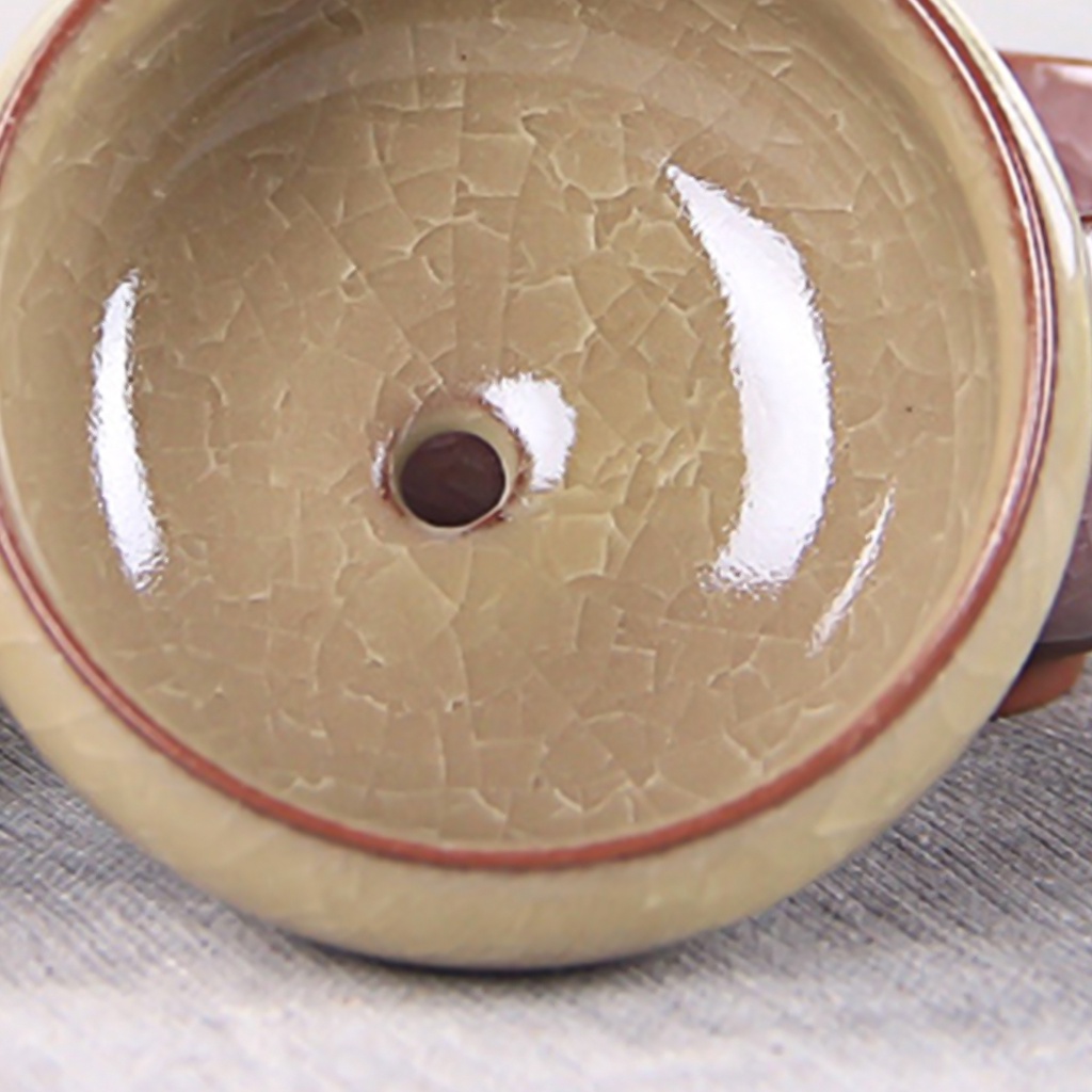 Chậu hoa sứ mini thiết kế tinh tế tiện lợi cho gia đình