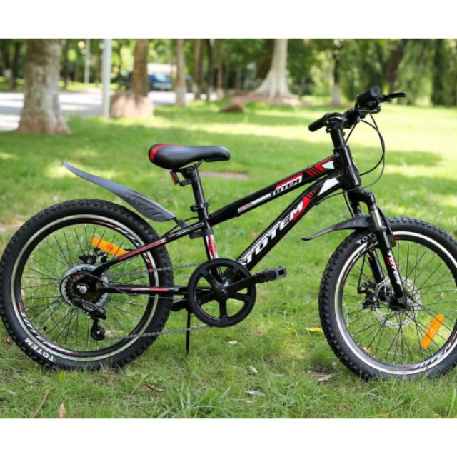 Ib shop nhận giá tốt - Xe đạp trẻ em Totem 719-20 chính hãng (tặng bộ dụng cụ lắp xe)